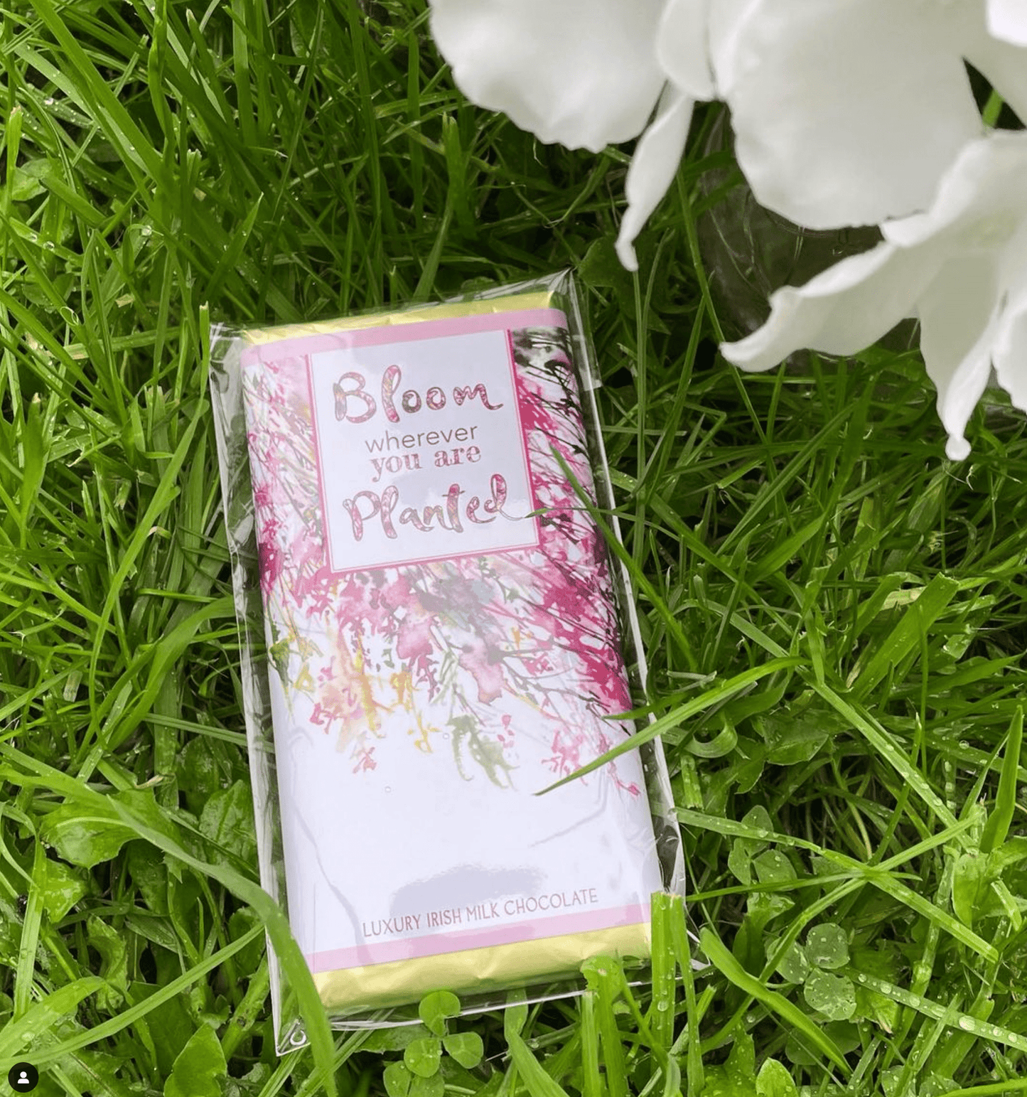 Chocolate Bar "Bloom Wherever You Are Planted" - TLC Gifting