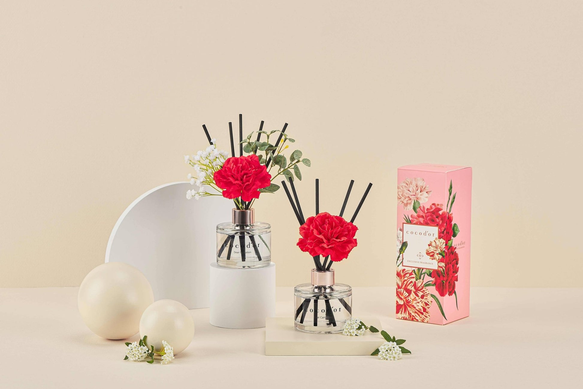 Cocodor Carnation Reed Diffuser White Musk | 120ml - TLC Gifting
