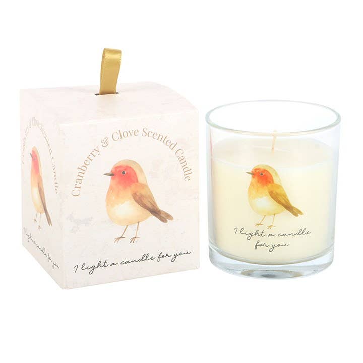 Robin Remembrance cranberry and clove candle Ireland