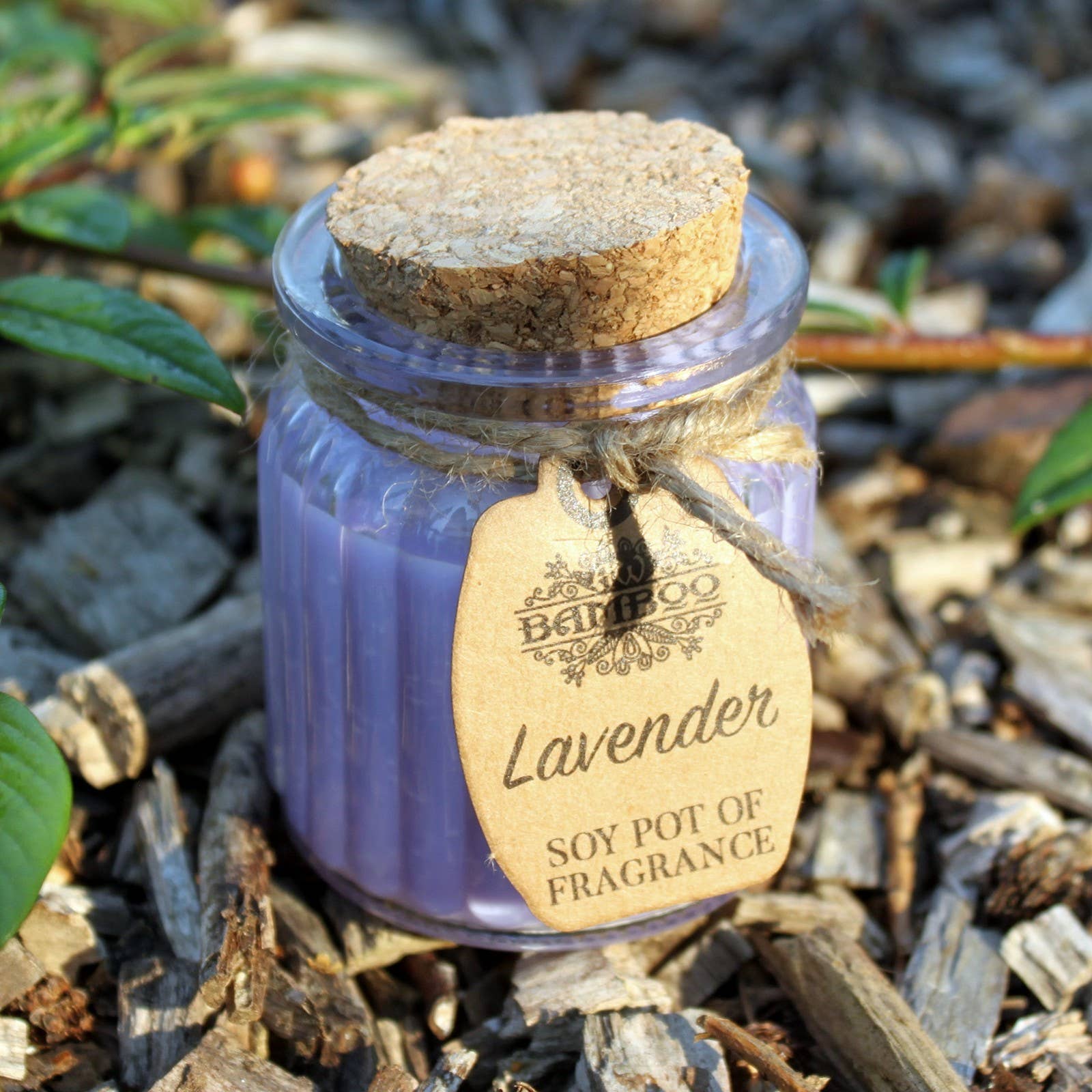 Lavender Soy Pot of Fragrance Mini Candle - TLC Gifting