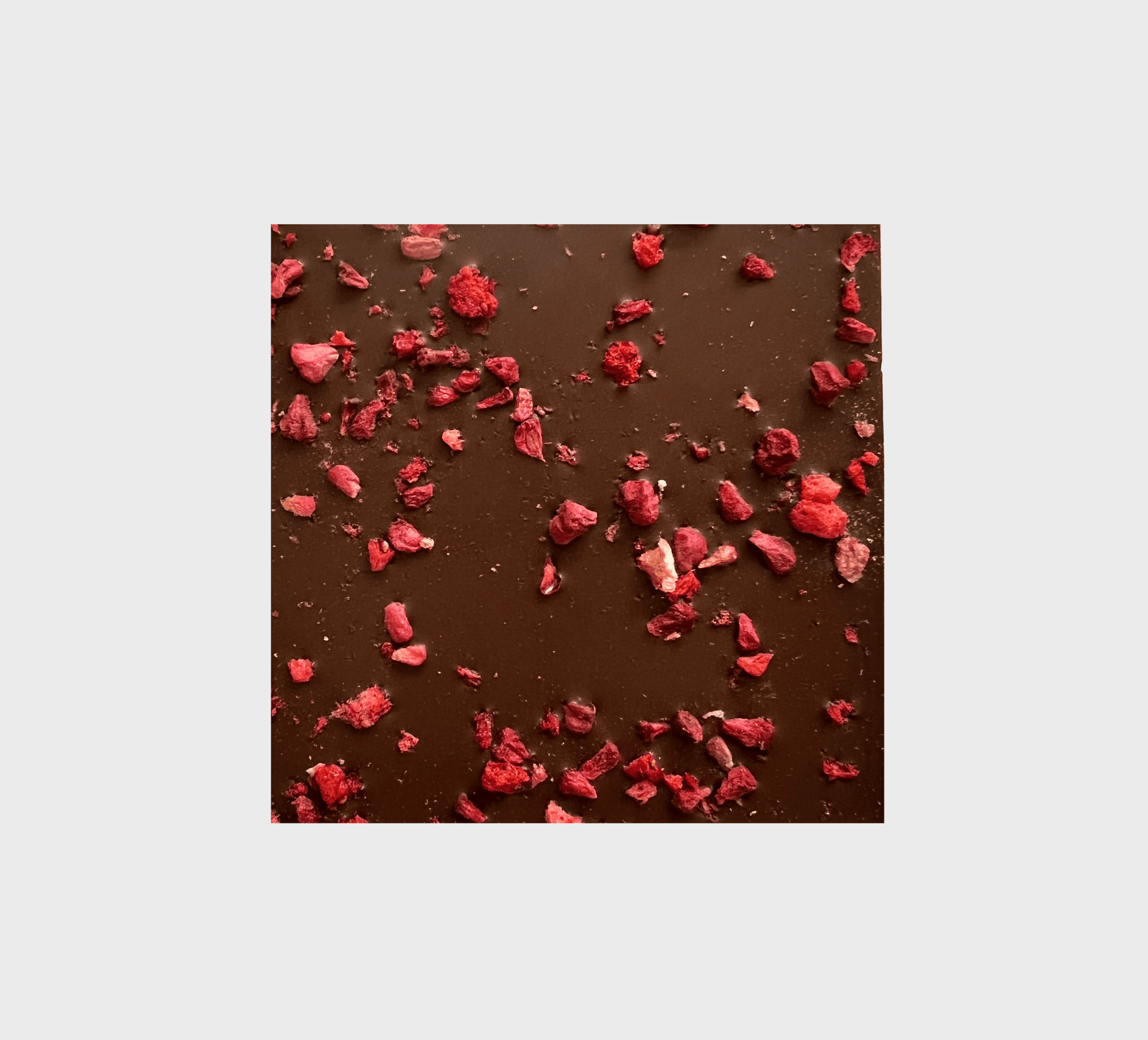 Red Berries Chocolate 49% Organic - TLC Gifting