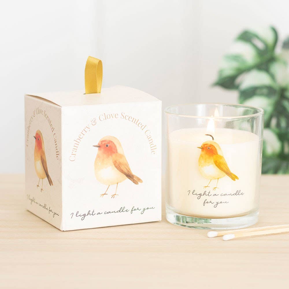 Robin Remembrance cranberry and clove candle Ireland